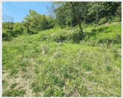  2025Ÿ51033     182      (Ӿ)