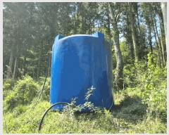  2025Ÿ51033     182      (Ӿ)