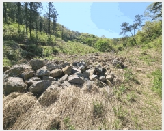  2025Ÿ51033     182      (Ӿ)