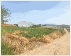  2025Ÿ51063  žȱ   465-1      (1)