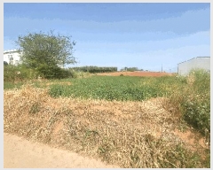  2025Ÿ51063  žȱ   465-1      (1)