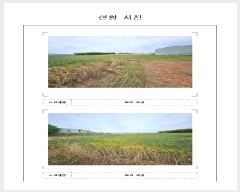  2025Ÿ51063  žȱ   465-1      (1)