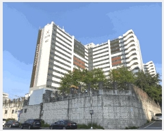  2025Ÿ51067  ϱ ȣ Ӹ 313-1 ϻȣƮ 102 111206ȣ   Ʈ