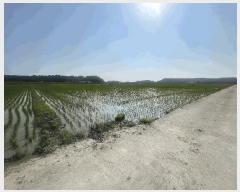  2025Ÿ51158  ȱ  긮 1154-9      ()