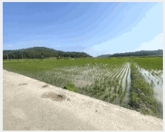  2025Ÿ51158  ȱ  긮 1154-9      ()