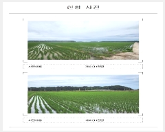  2025Ÿ51158  ȱ  긮 1154-9      ()