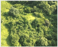  2025Ÿ51165     269-1      (1)