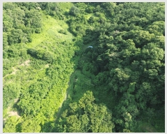  2025Ÿ51165     269-1      (1)