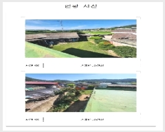  2025Ÿ��51205 ���� ���ȱ� ������ ���긮 986      ���ð��