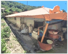 2025Ÿ��51214 ���� ������ �ױ��� 487-2       ���ð��