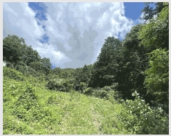  2025Ÿ51221  ȱ  Ǹ 288-10      (Ӿ)