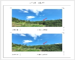  2025Ÿ51221  ȱ  Ǹ 288-10      (Ӿ)