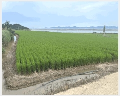  2025Ÿ51291  žȱ ¸ 븮 34      ()