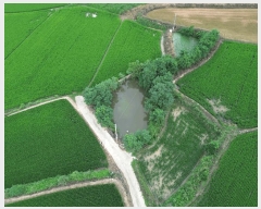  2025Ÿ51291  žȱ ¸ 븮 34      ()