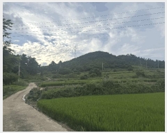  2025Ÿ51291  žȱ ¸ 븮 34      ()