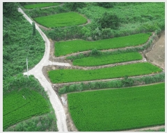  2025Ÿ51291  žȱ ¸ 븮 34      ()