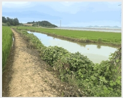  2025Ÿ51291  žȱ ¸ 븮 34      ()