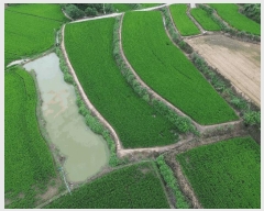  2025Ÿ51291  žȱ ¸ 븮 34      ()