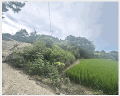  2025Ÿ51291  žȱ ¸ 븮 34      ()