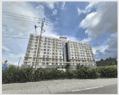  2025Ÿ��51319  ���ǽ��ڰ��