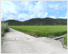  2025Ÿ51363   ٸ ٸ 1263-19      ()