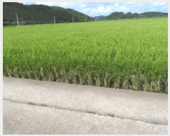  2025Ÿ51363   ٸ ٸ 1263-19      ()