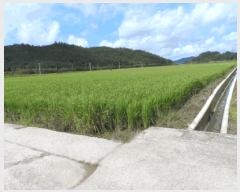  2025Ÿ51363   ٸ ٸ 1263-19      ()