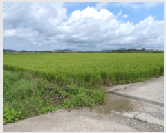  2025Ÿ51363   ٸ ٸ 1263-19      ()