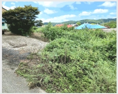  2025Ÿ��51378 ���� ���ȱ� û��� �󸶸� 10-4      ����(��1)���