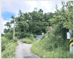  2025Ÿ��51378 ���� ���ȱ� û��� �󸶸� 10-4      ����(��1)���