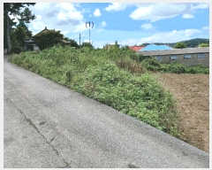  2025Ÿ��51378 ���� ���ȱ� û��� �󸶸� 10-4      ����(��1)���