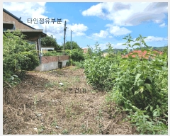  2025Ÿ��51378 ���� ���ȱ� û��� �󸶸� 10-4      ����(��1)���