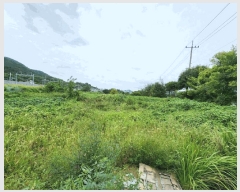  2025Ÿ��51459  ����