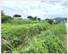  2025Ÿ��51459  ����