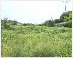  2025Ÿ��51459  ����