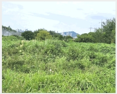  2025Ÿ��51459  ����