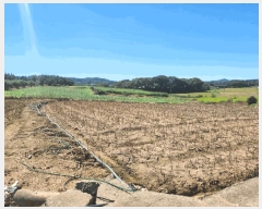  2025Ÿ��51464 ���� ���� ���ٸ� �۷θ� 936-2      ����(��1)���