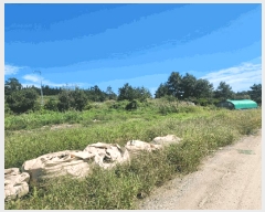  2025Ÿ��51464 ���� ���� ���ٸ� �۷θ� 936-2      ����(��1)���