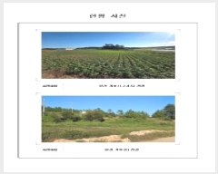  2025Ÿ��51464 ���� ���� ���ٸ� �۷θ� 936-2      ����(��1)���