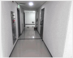  2025Ÿ��51604 ���� ���ȱ� ������ ���Ǹ� 2250 ���ֿ��尡8�����ǽ���  11��1117ȣ   ���ǽ��ڰ��