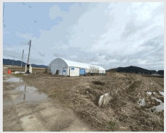  2025Ÿ295   б õ 1037-2      ()