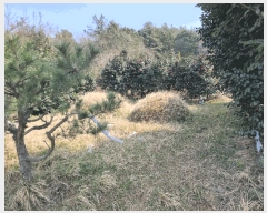  2025Ÿ331   絿 4-2       (Ӿ)