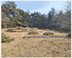  2025Ÿ331   絿 4-2       (Ӿ)