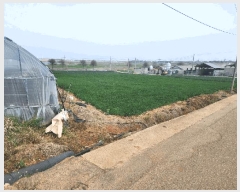  2025Ÿ��339  �����