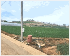  2025Ÿ��339  �����