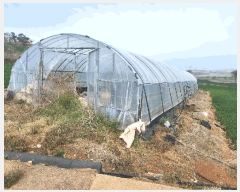  2025Ÿ��339  �����