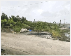  2025Ÿ��351 ���� ���ϱ� ��ȣ�� ��Ӹ� 59-11      ����(��1)���