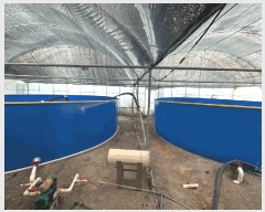  2025Ÿ��394 ���� ���ȱ� ��ź�� ���긮 148      �������