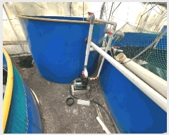  2025Ÿ��394 ���� ���ȱ� ��ź�� ���긮 148      �������