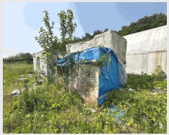  2025Ÿ��394 ���� ���ȱ� ��ź�� ���긮 148      �������